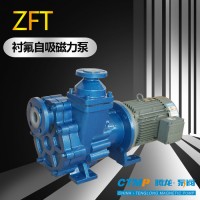 80ZFT-30F自吸式磁力泵  氟塑料泵厂家 腾龙泵阀