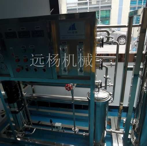 远杨机械反渗透水处理价格纯水处理器 纯水处理器厂家