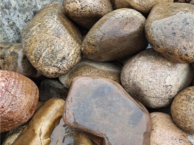 景观砾石 花盆鹅卵石原料 污水处理厂用河卵石