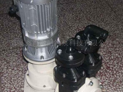 供应电动双隔膜泵 25JSMJ3-20 双隔膜泵 耐腐蚀