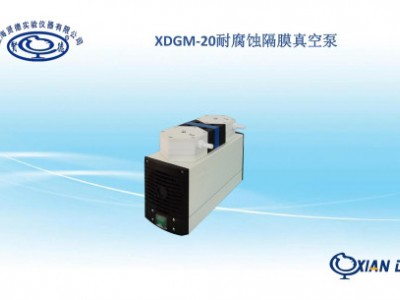 上海贤德XDGM-20 耐腐蚀隔膜泵