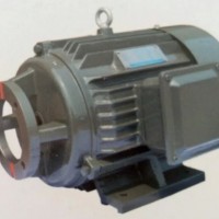 供应标准柱塞泵电机 CY14-1B柱塞泵电机 油泵电机 异步电动机