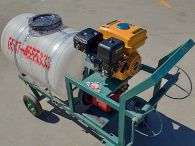 高压喷雾器 农用高压泵喷雾器 大棚蔬菜喷药机