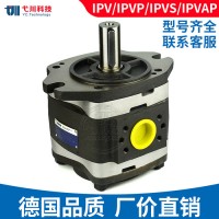 德国福伊特齿轮泵IPV/IPVP/IPVAP3/4/5-16/20/25/32-101/171高压泵油泵VOITH液压泵