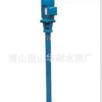 液下泵 污水泵 渣浆泵 不锈钢（食品级）泵