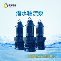 潜水轴流泵_QZB轴流泵报价_潜水轴流泵厂家选型_轴流泵现货_德泉泵业