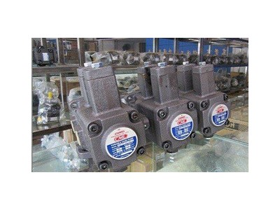 专业生产叶片泵、齿轮泵等多种液压泵