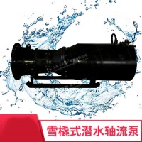 昊泵300QSZ-500QSZ雪橇式潜水轴流泵（卧式潜水轴流泵）