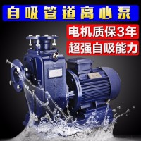 卧式离心泵自吸泵380V管道泵三相高扬程BZ抽水泵农用大流量