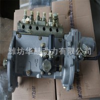 潍坊潍柴里卡多系列R4105 ZH4105柴油发动机高压油泵