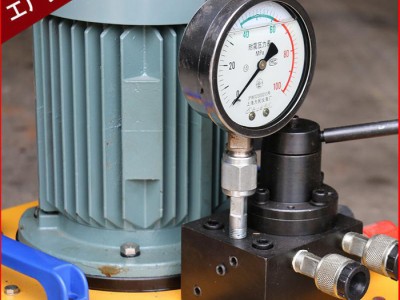 电动油泵 超高压电动油泵 DSS系列超高压电动油泵 非标油泵