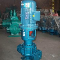 泊兴东RY50-32-160型导热油泵/高温油泵/兴东油泵