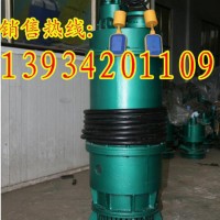 德阳巴中BQS40-100-30BQS防爆潜水泵