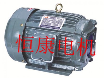 台款配VP30-VP40泵/台款油泵电机专卖/江苏盐城生产厂家/厂家专卖