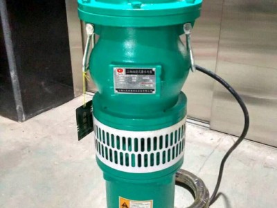 上海博民泵业油浸式潜水电泵QY100-6-3充油式潜水泵、喷泉泵、排灌泵、鱼塘抽水泵、潜水排污泵、自吸泵、无堵塞潜水泵