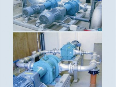 供应南方转子泵转子泵ZW自吸式输送泵