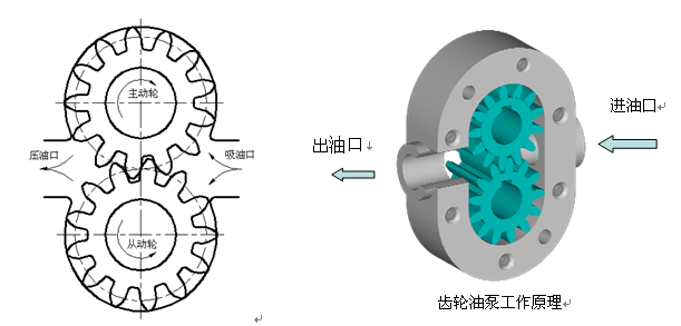 齿轮泵工作原理图1