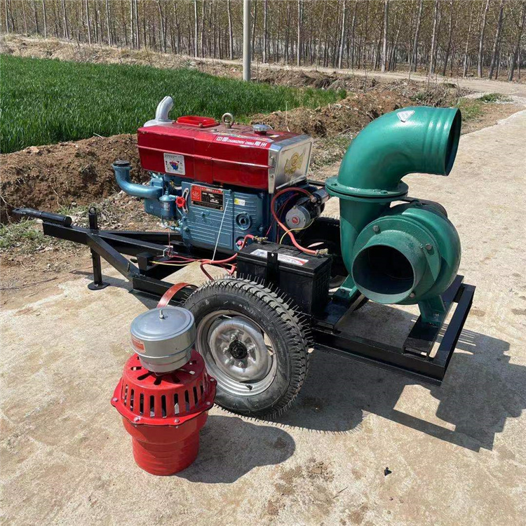 瑞安汽油泵农业灌溉泵轻便灵活