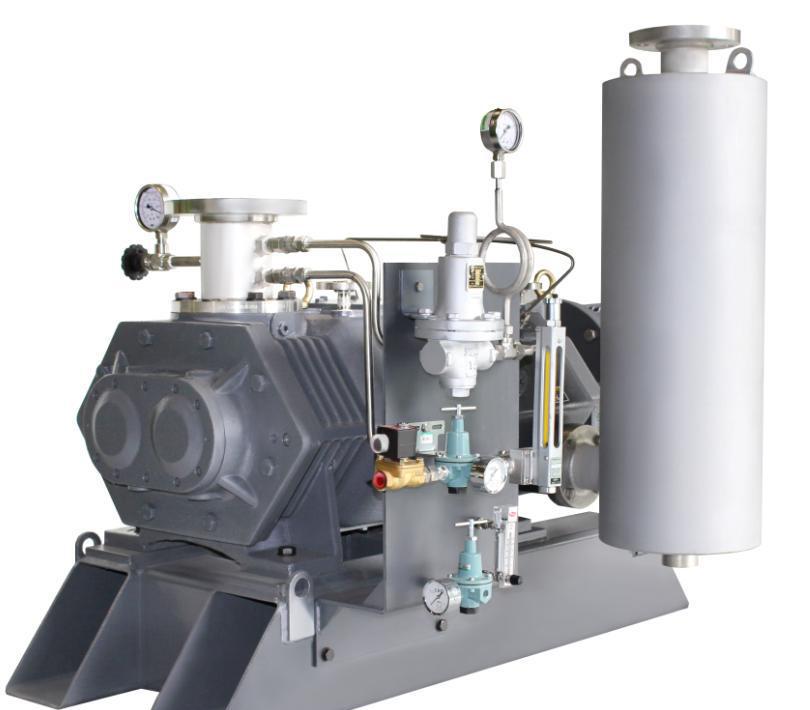 Dry Screw Vacuum Pump System S